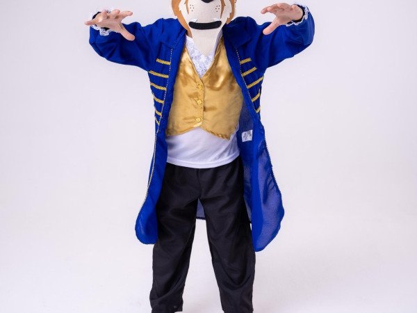 Fantasia Princesa Belli Principe Fera /A bela e a Fera